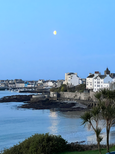 Port St Mary by moonlight